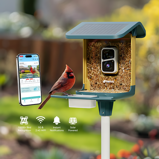 AI Smart Bird Feeder Camera - 2K HD & Solar Powered | Nafnti