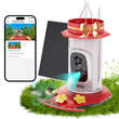 2K Smart Hummingbird Feeder with Camera-Solar Powered