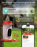 2K Smart Hummingbird Feeder with Camera-Solar Powered