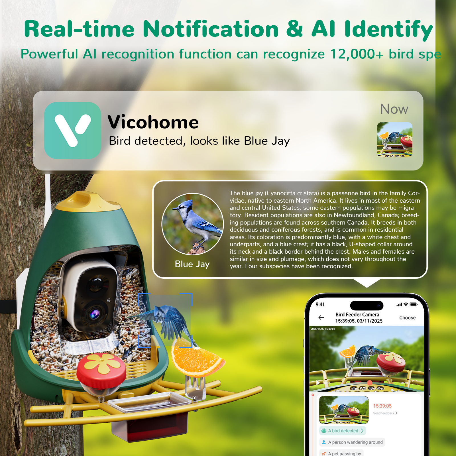 Smart Bird Feeder Camera with 2K Live Streaming, Squirrel-Proof & Dual Chambers