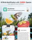 Smart Bird Feeder with Camera for Outdoor-Solar Powered