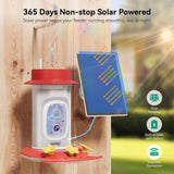 Technical illustration of the 365-day solar-powered hummingbird feeder with a 5200mAh battery and stable 2.4G WiFi connection.