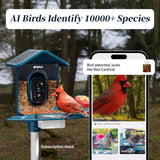 AI smart bird feeder app identifying a Northern Cardinal with instant mobile notifications and 10,000+ species database.