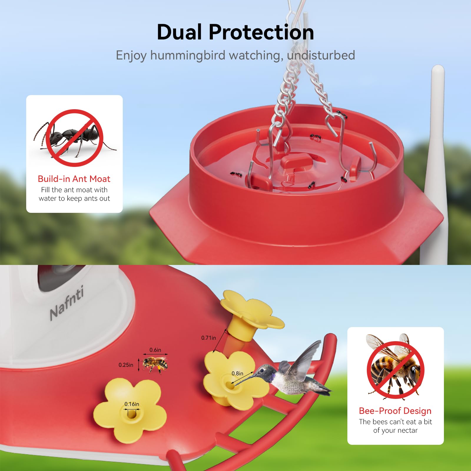 Dual protection design featuring a built-in ant moat and bee-proof flower ports to keep nectar clean and undisturbed by insects.
