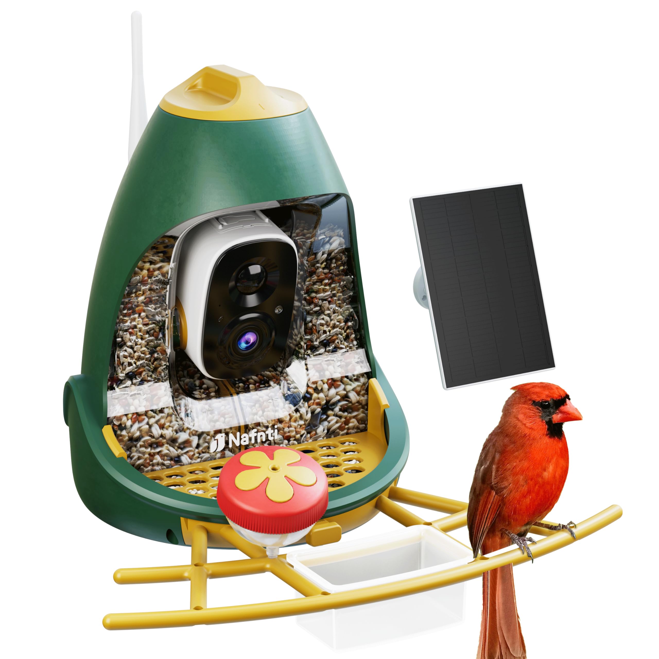 A Nafnti 2K smart bird feeder camera with a solar panel accessory, featuring a dual-chamber design and a red Northern Cardinal perched on the yellow tray.