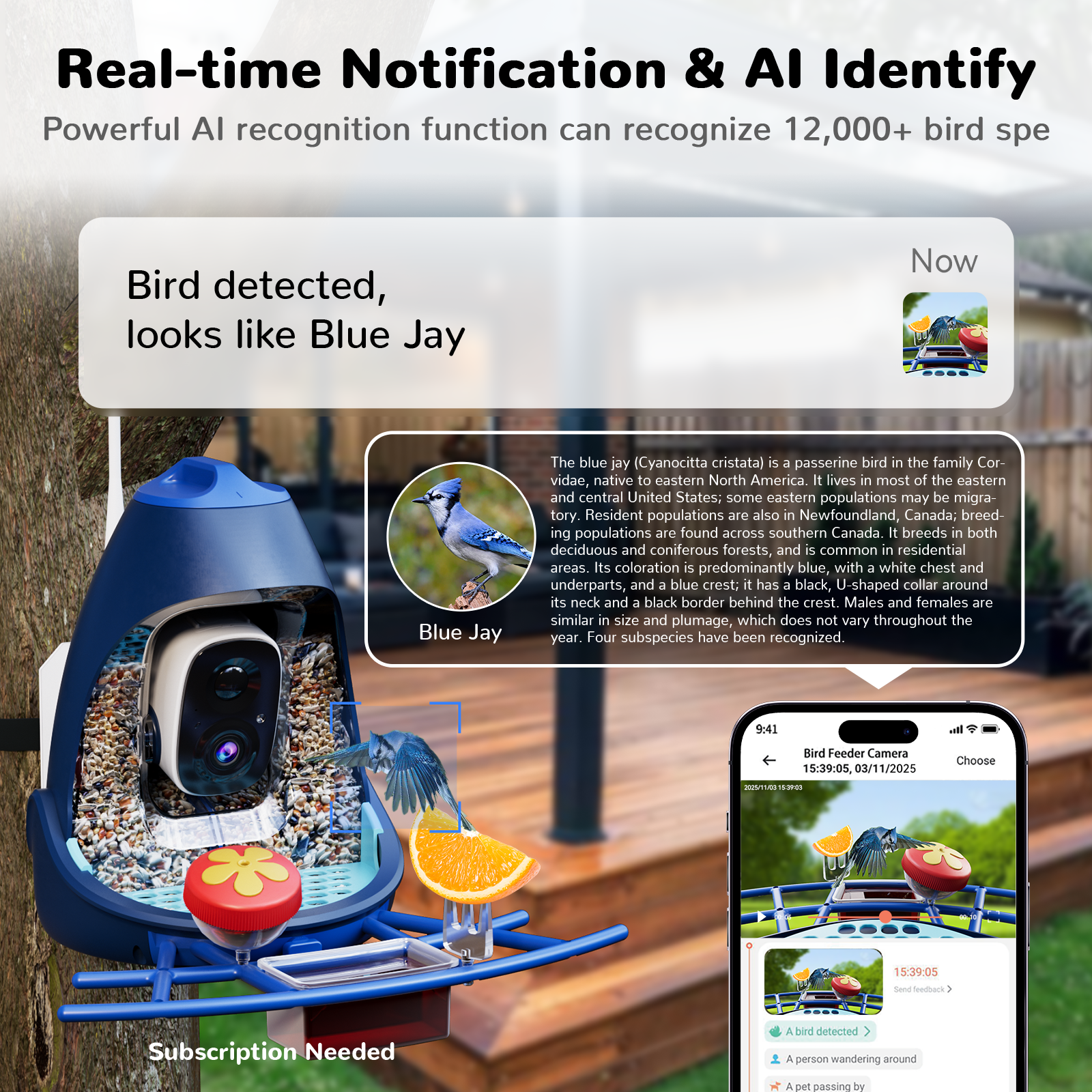 Smartphone screen displaying a vivid blue bird icon and a high-contrast notification alert from the Nafnti smart birding application.
