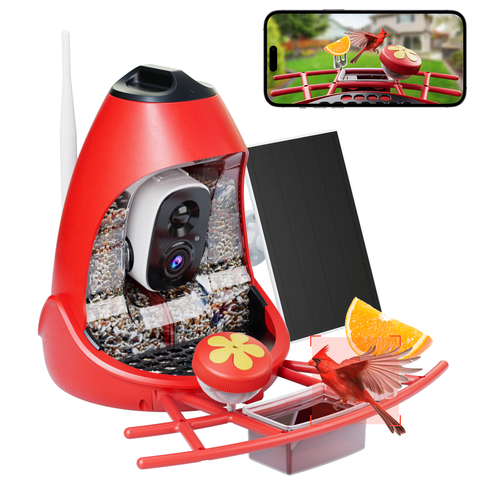 Nafnti smart bird feeder with camera capturing a red Northern Cardinal, featuring 2K HD live video and real-time AI bird notifications.