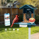 AI Smart Bird Feeder with 2K Camera, Solar & 5G WiFi - Nafnti®