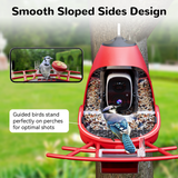 A Blue Jay perched perfectly on a red Nafnti smart bird feeder featuring a smooth sloped-side design for optimal camera shots.