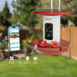 Nafnti smart hummingbird feeder with camera, solar panel, AI bird recognition, and live view mobile app features.