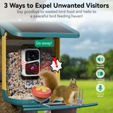 Teal-colored Nafnti feeder activating a flashing alarm to deter a squirrel from the bird seeds.