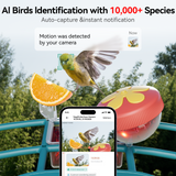 Teal and yellow Nafnti smart bird feeder detecting a yellow goldfinch using AI species recognition.