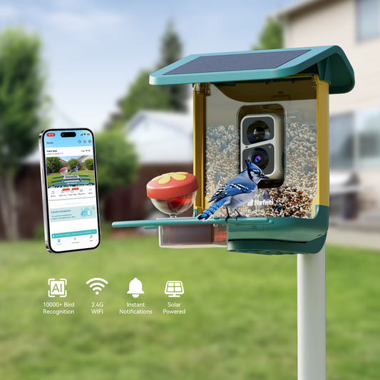A house-shaped teal and yellow Nafnti smart bird feeder with a Blue Jay perched on the front landing.