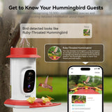 Nafnti app notification identifying a Ruby-Throated Hummingbird with a detailed species fact sheet and live 2K video feed.