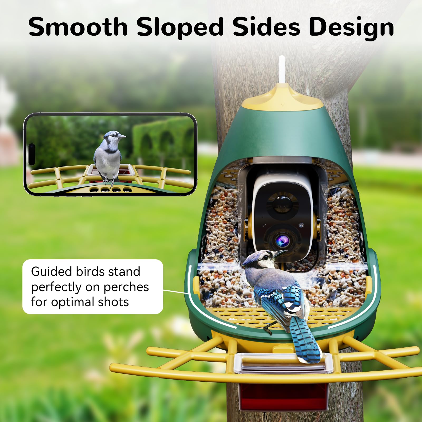 Detailed view of the smooth sloped sides design of the Nafnti feeder, showcasing a Blue Jay standing perfectly on the perch for an optimal 2K live stream shot.