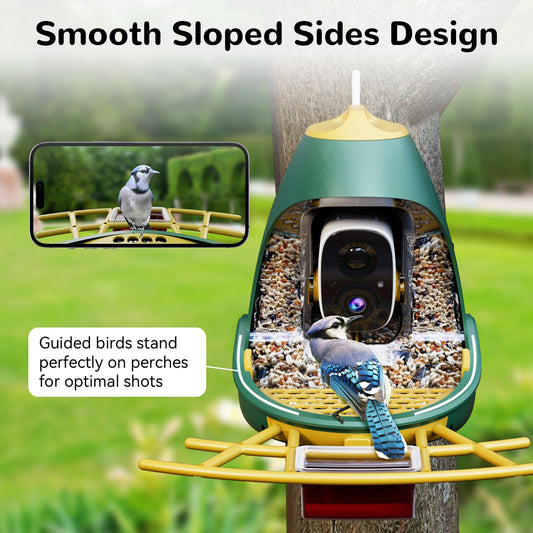 Detailed view of the smooth sloped sides design of the Nafnti feeder, showcasing a Blue Jay standing perfectly on the perch for an optimal 2K live stream shot.