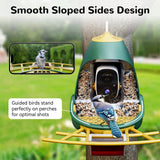 Detailed view of the smooth sloped sides design of the Nafnti feeder, showcasing a Blue Jay standing perfectly on the perch for an optimal 2K live stream shot.